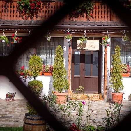 Agropensiunea Casa Nica Margineni  Zewnętrze zdjęcie