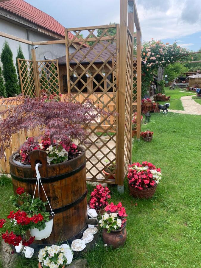 Agropensiunea Casa Nica Margineni  Zewnętrze zdjęcie