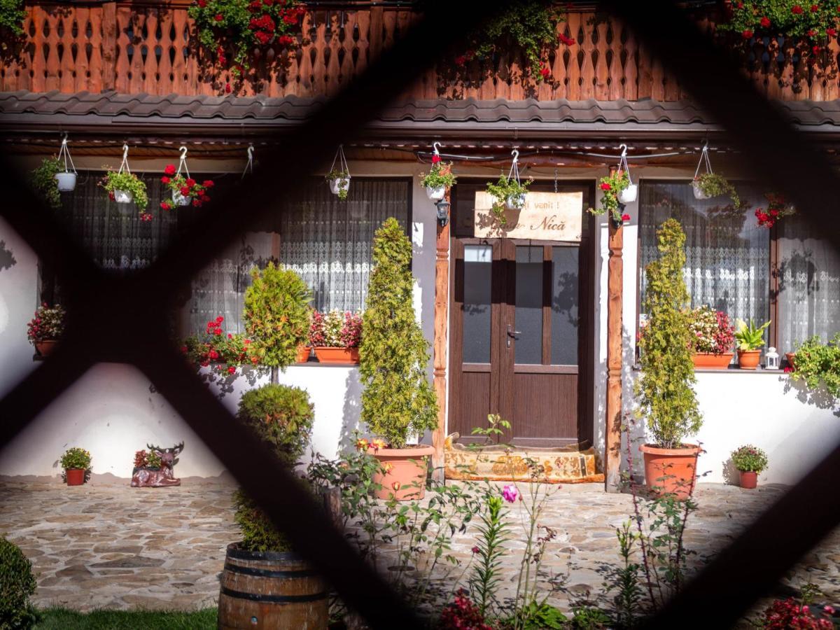Agropensiunea Casa Nica Margineni  Zewnętrze zdjęcie