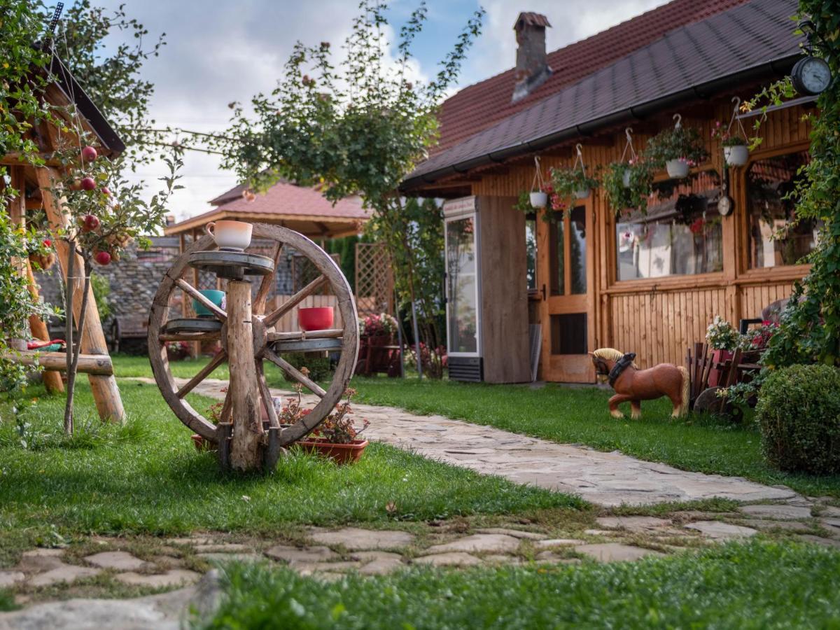 Agropensiunea Casa Nica Margineni  Zewnętrze zdjęcie
