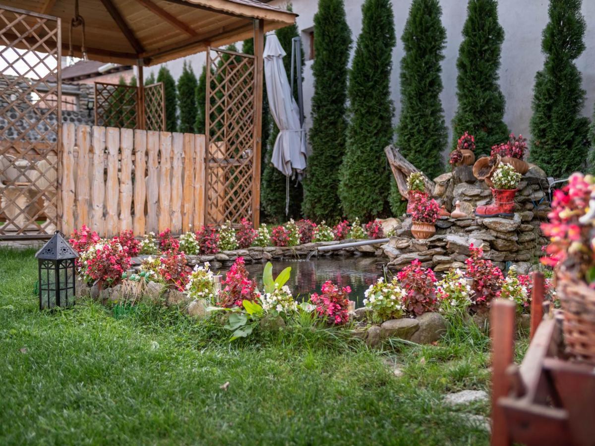 Agropensiunea Casa Nica Margineni  Zewnętrze zdjęcie